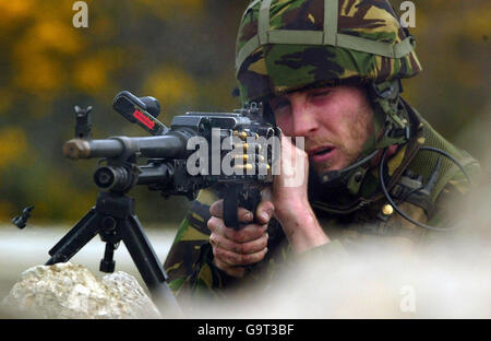 Squadrone RAF ha esortato a far crescere la barba Foto Stock