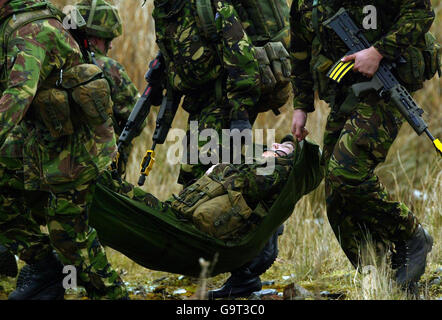 Squadrone RAF ha esortato a far crescere la barba Foto Stock