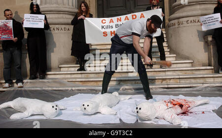 I membri del gruppo per il benessere degli animali PETA organizzano una protesta al di fuori dell'ambasciata canadese a Londra, prima dell'inizio della caccia annuale alle foche a Terranova. Foto Stock