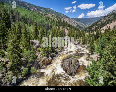 La Cache Poudre River sotto Poudre Falls - vista aerea a inizio estate con portata elevata Foto Stock