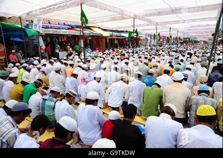 Di Allahabad, India. 01 Luglio, 2016. Offerta musulmana la preghiera "Alwida ki Namaz' in occasione dello scorso venerdì del santo mese di digiuno del Ramadan in allahabad su 01-07-2016. foto di prabhat kumar verma Credito: Prabhat Kumar Verma/Pacific Press/Alamy Live News Foto Stock