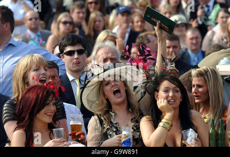 I corridori godono del sole all'ippodromo di Aintree il giorno delle Signore. Foto Stock