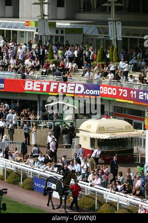 Horse Racing - Betfred Gold Cup Riunione - Sandown Park Foto Stock