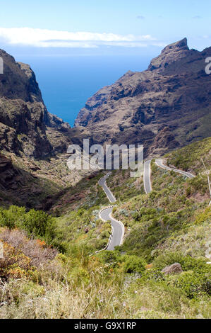 Curve, strada a serpentina in Valle Masca, Tenerife Spagna Isole Canarie, Europa Foto Stock