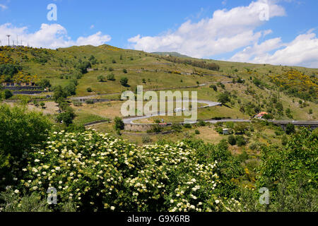 Vista della campagna circostante Randazzo, Sicilia, Italia Foto Stock