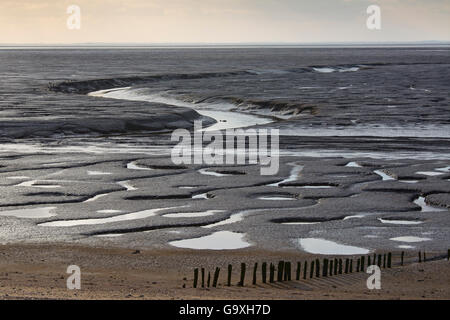 La bassa marea sul lavaggio, Snettisham, Norfolk, Inghilterra, Regno Unito, febbraio. Foto Stock