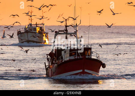 Peschereccio in arrivo al Porto di Guilvinec al tramonto, Finisterre, Brittany, Francia. Dicembre. Tutti i non-usi editoriali deve essere eliminato singolarmente. Foto Stock