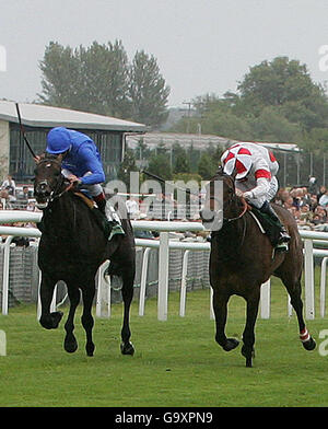 Horse Racing - Newbury Foto Stock