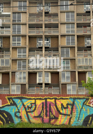 Scorte di decadimento urbano. Appartamenti nella tenuta di Park Hill, Sheffield. Foto Stock