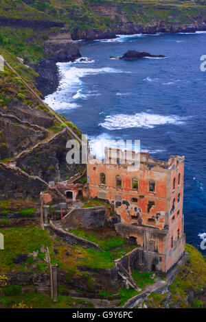 Casa diroccata e le rovine della Casa Hamilton, Tenerife, Isole Canarie, Spagna Foto Stock