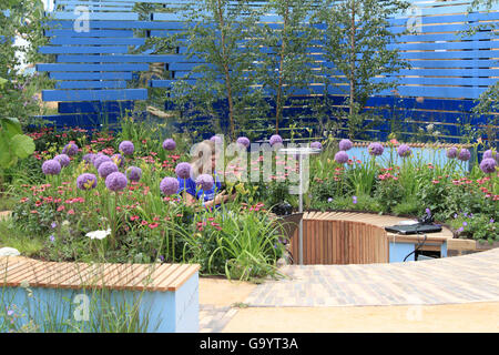 Medaglia di bronzo vincitore: Cancer Research UK 'Vita Garden' da Antonia giovani. Visualizza giardino. RHS Hampton Court Palace Flower Show, Londra, Inghilterra, Regno Unito. Premere Anteprima il giorno 4 luglio 2016. Fiore annuale mostra organizzata dalla Royal Horticultural Society. Visualizza corre da martedì 5 luglio fino a domenica 10 luglio 2016. Credito: Ian bottiglia / Alamy Live News Foto Stock