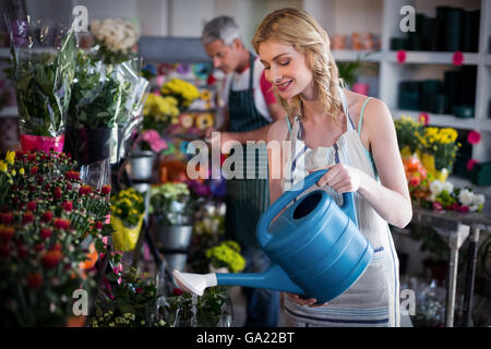 Fiorista femmina fiori di irrigazione Foto Stock