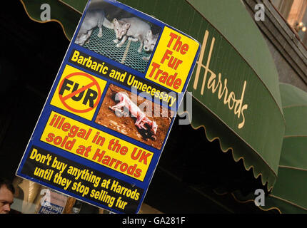 Un protestore vestito da volpe, durante una protesta anti-pelliccia fuori Harrods il giorno di apertura della sua vendita estiva, a Londra SW1X 7SL Foto Stock