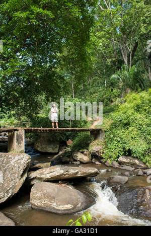 Bird watcher in piedi su un ponte nella foresta, Amani Riserva Naturale, Tanzania Foto Stock