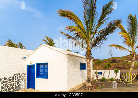 Tipica casa bianca e palma a El Golfo villaggio sulla costa dell'isola di Lanzarote, Spagna Foto Stock