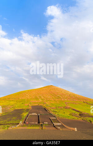 Agricoltura I campi in montagna vulcanica di paesaggio dell'isola di Lanzarote vicino a Geria village, Isole Canarie, Spagna Foto Stock