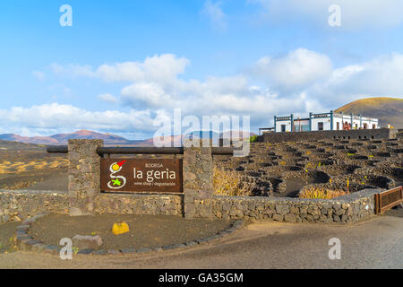 LA GERIA CANTINA, Lanzarote Island - Jan 14, 2015: i vigneti di La Geria regione dell'isola di Lanzarote. Le uve coltivate su terreno vulcanico hanno molto sapore speciale e sono famose in tutto il mondo. Foto Stock