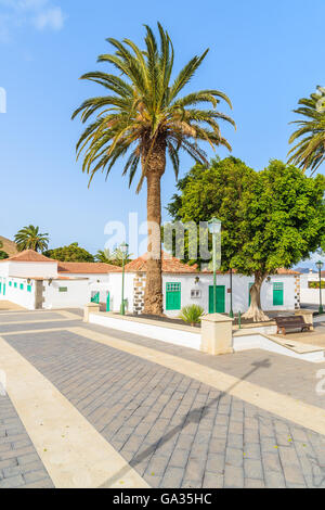 Palm tree sulla piazza con il tipico stile delle Canarie case nel villaggio di Yaiza, Lanzarote, Isole Canarie, Spagna Foto Stock