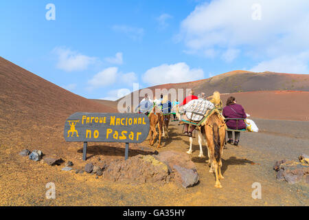 Caravan di cammelli con i turisti nel Parco Nazionale di Timanfaya, Lanzarote, Isole Canarie, Spagna Foto Stock