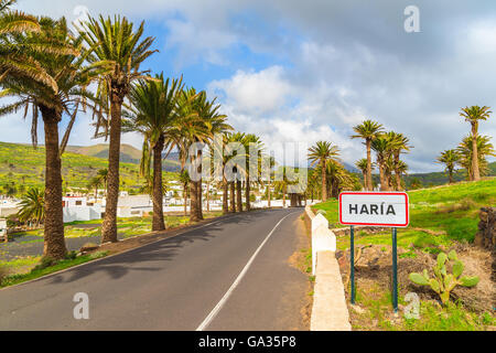 Strada fiancheggiata da palme di Haria villaggio di montagna, Lanzarote, Isole Canarie, Spagna Foto Stock