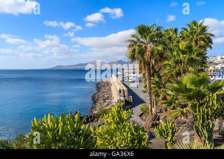 Palme sulla passeggiata lungo la costa dell'oceano in Puerto del Carmen città di vacanze, Lanzarote, Isole Canarie, Spagna Foto Stock