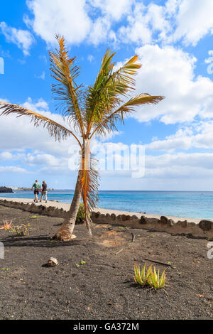 Palm Tree e un paio di turisti camminando sulla passeggiata costiera in Playa Blanca, Lanzarote, Spagna Foto Stock