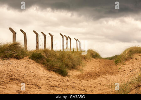 Grassy dune di sabbia e angolata pali da recinzione insieme con un moody sky in una spiaggia a Hartlepool nel nord est dell' Inghilterra Foto Stock