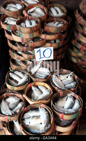 I pesci sul mercato Thewet in Banglamphu nella città di Bangkok in Thailandia in Southeastasia. Foto Stock