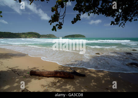 La Hat Yai di Kata Beach vicino a Rawai in sud sull'Isola di Phuket, nel sud della Thailandia in Southeastasia. Foto Stock