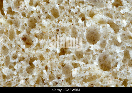 Texture biologica. Elemento di design. Foto Stock