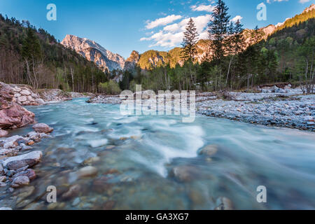 Buchstein Goßer, montagna, Johnsbach Creek, Foresta, alberi, Nationalpark Gesäuse, Stiria, Austria Foto Stock