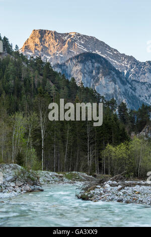 Buchstein Goßer, montagna, Johnsbach Creek, Foresta, alberi, Nationalpark Gesäuse, Stiria, Austria Foto Stock