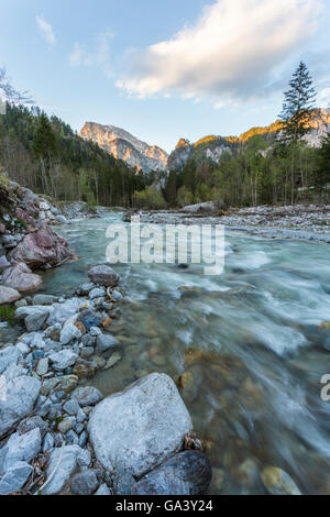 Buchstein Goßer, montagna, Johnsbach Creek, Foresta, alberi, Nationalpark Gesäuse, Stiria, Austria Foto Stock