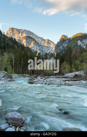 Buchstein Goßer, montagna, Johnsbach Creek, Foresta, alberi, Nationalpark Gesäuse, Stiria, Austria Foto Stock