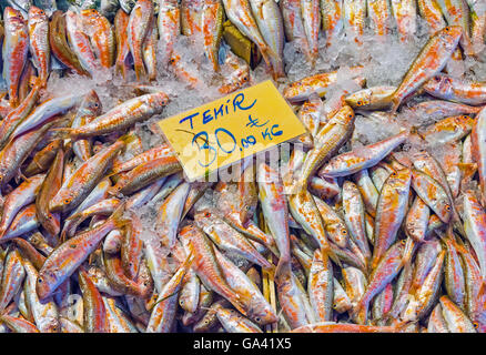 Triglia di scoglio o triglia di fango per la vendita su un mercato ad Istanbul in Turchia Foto Stock