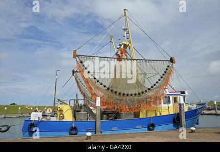 Barca da pesca, Porto, Oudeschild, Texel, Paesi Bassi / fresa adibiti alla pesca di gamberetti Foto Stock