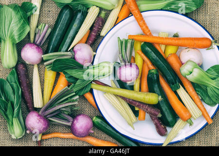 Mini modello vegetale con piastra di smalto in stile retrò Foto Stock