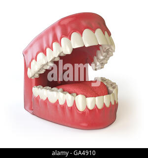 Denti o protesi isolato su bianco. Aprire bocca umana mascellare superiore e inferiore. 3d illustrazione Foto Stock