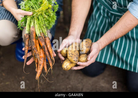 I giardinieri azienda raccolte di carote e patate Foto Stock