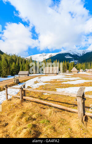 Staccionata in legno sul prato con crocus in fiore fiori in valle Chocholowska e capanne in background, Monti Tatra, Polonia Foto Stock