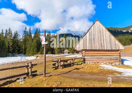 Capanna in legno sul prato con crocus in fiore fiori in valle Chocholowska, Monti Tatra, Polonia Foto Stock