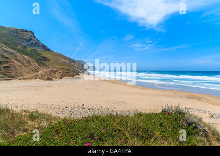 Una vista di sabbia spiaggia Castelejo, luogo famoso per il surf, la regione di Algarve, PORTOGALLO Foto Stock