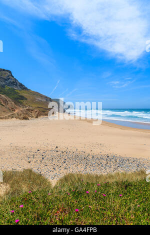 Una vista di sabbia spiaggia Castelejo, luogo famoso per il surf, la regione di Algarve, PORTOGALLO Foto Stock