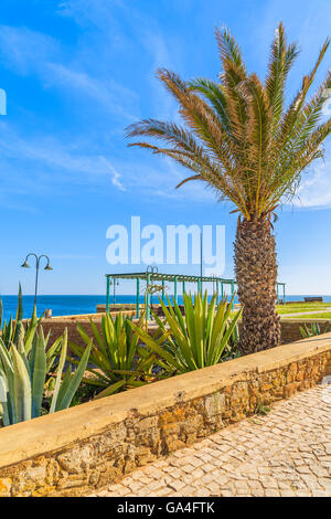 Albero di palme e piante tropicali sulla passeggiata costiera in Luz città, regione di Algarve, PORTOGALLO Foto Stock