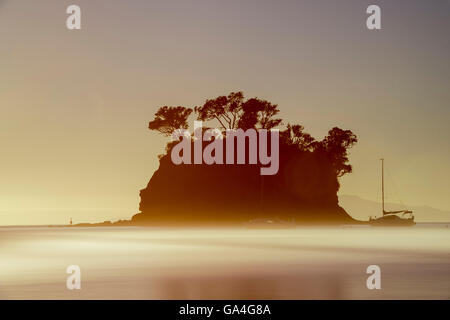 Sunrise dietro il Tor in Waiake Bay, Torbay, su una mattinata nebbiosa a Auckland Nuova Zelanda. Foto Stock