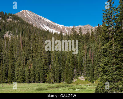 Prato e la montagna, Missouri Creek Trail, Santa Croce Wilderness Area sud di Minturn, Colorado. Foto Stock