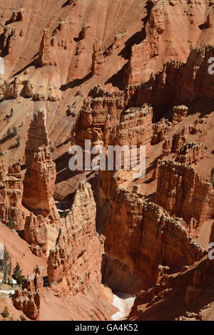 La bella ma spesso ignorato il paesaggio di Cedar Breaks National Monument in Utah. Foto Stock