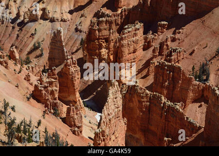 La bella ma spesso ignorato il paesaggio di Cedar Breaks National Monument in Utah. Foto Stock