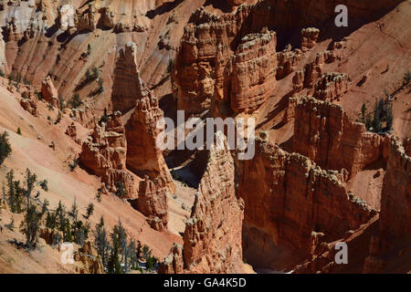 La bella ma spesso ignorato il paesaggio di Cedar Breaks National Monument in Utah. Foto Stock