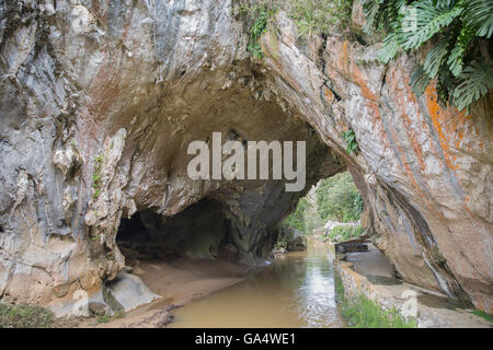 Ingresso alla grotta dove Che Guevara con sede brevemente durante la crisi dei missili di Cuba nel 1962. Foto Stock